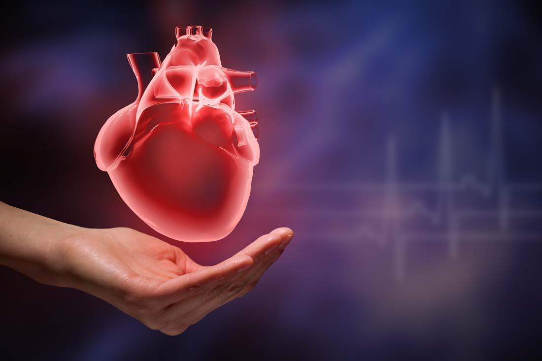 每天吃堅果真的對心臟有益嗎？心臟病專家的觀點，啟發性發現！