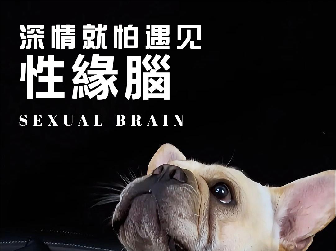什麼是性緣腦？遠離四個容易性緣腦的星座男。