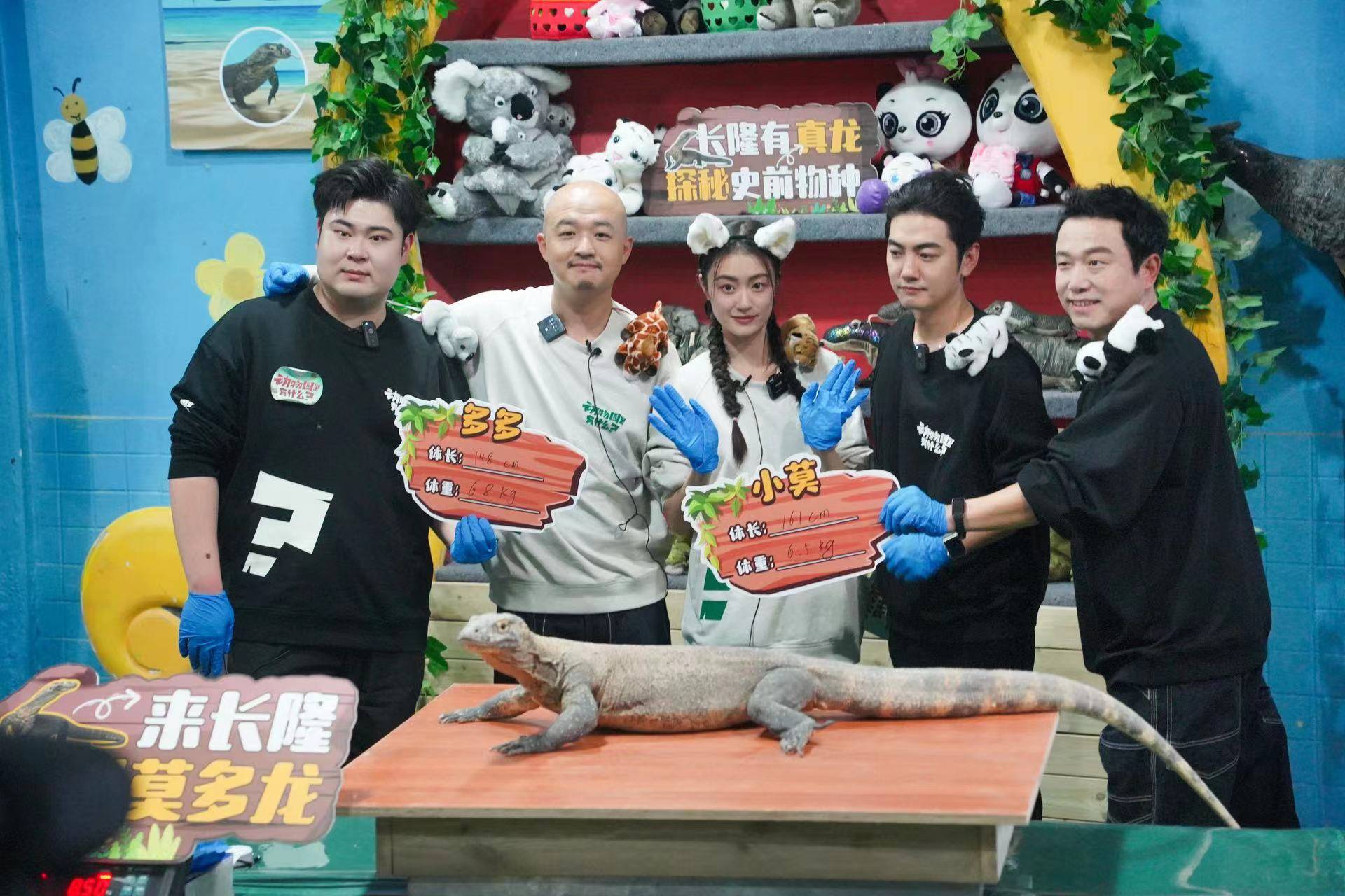 《動物園裡有什麼》評分崩盤，口碑跌至谷底。