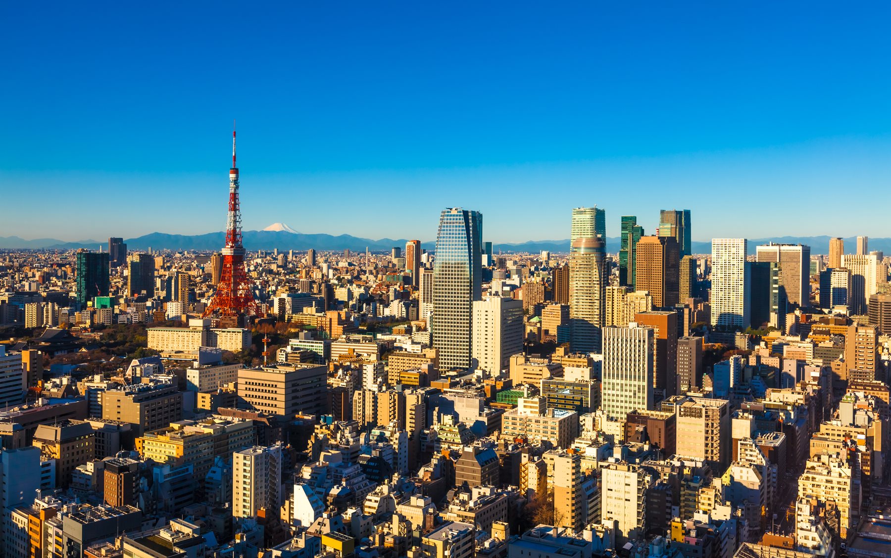 東京絕對比上海強至少一個檔次。