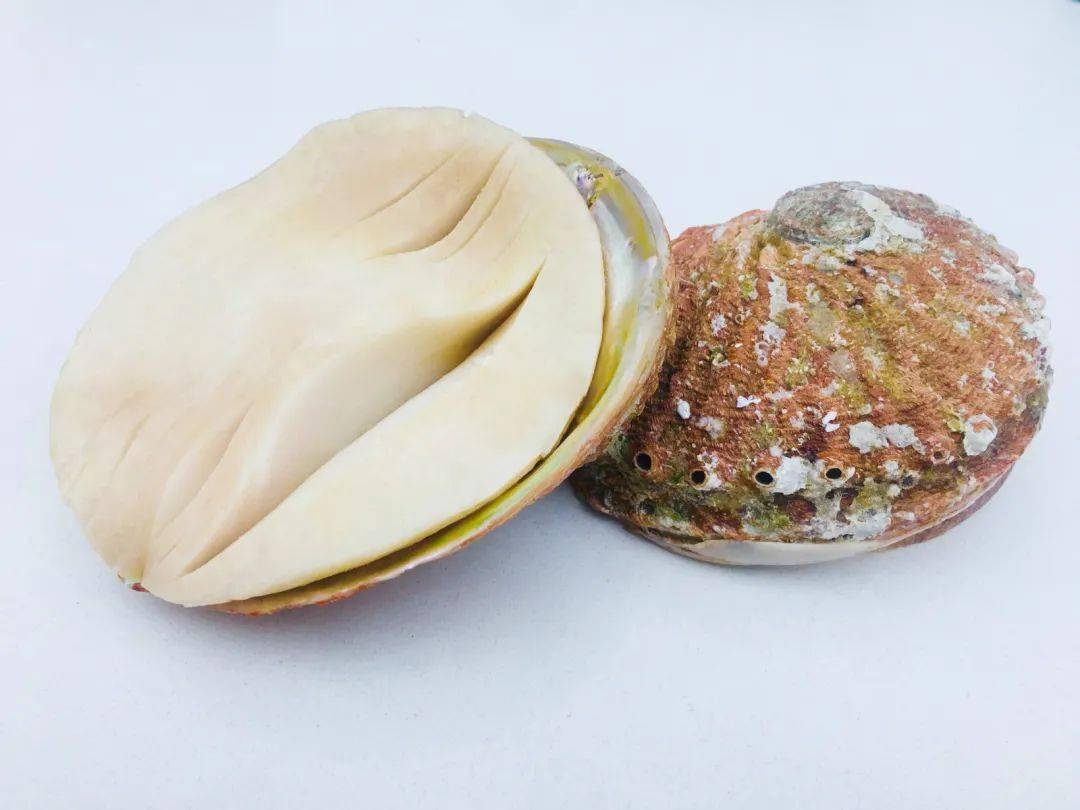 腐竹、粽子、豬肉都可能被不良商家添加了硼砂