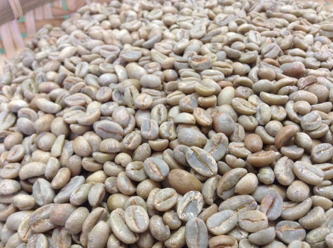 咖啡生豆分級科普，大多數人可能記不住！
