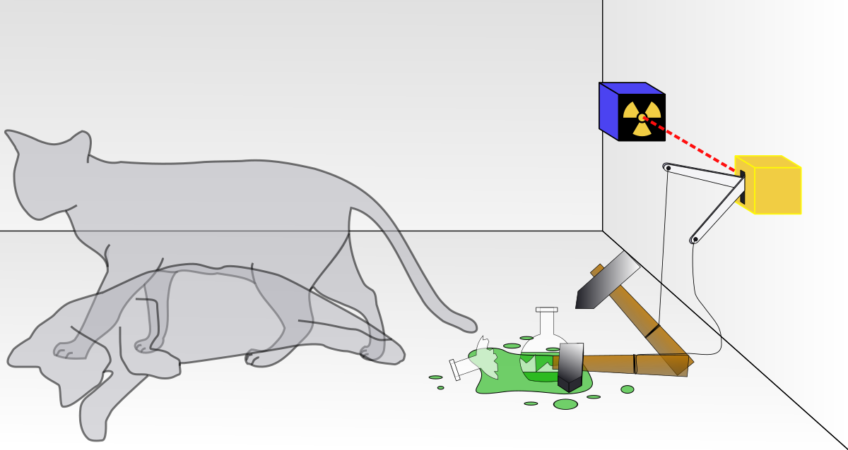 如何理解「薛丁格的貓」？有些東西還是無解。